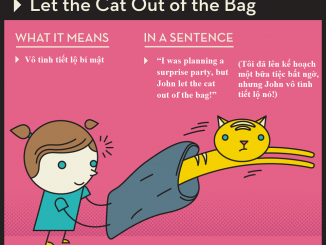 "Let the cat out of the bag" có nghĩa là gì?