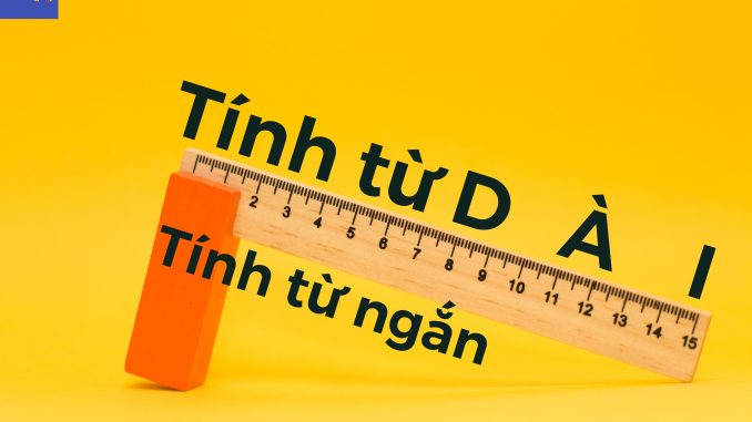 Tính từ ngắn & Tính từ dài